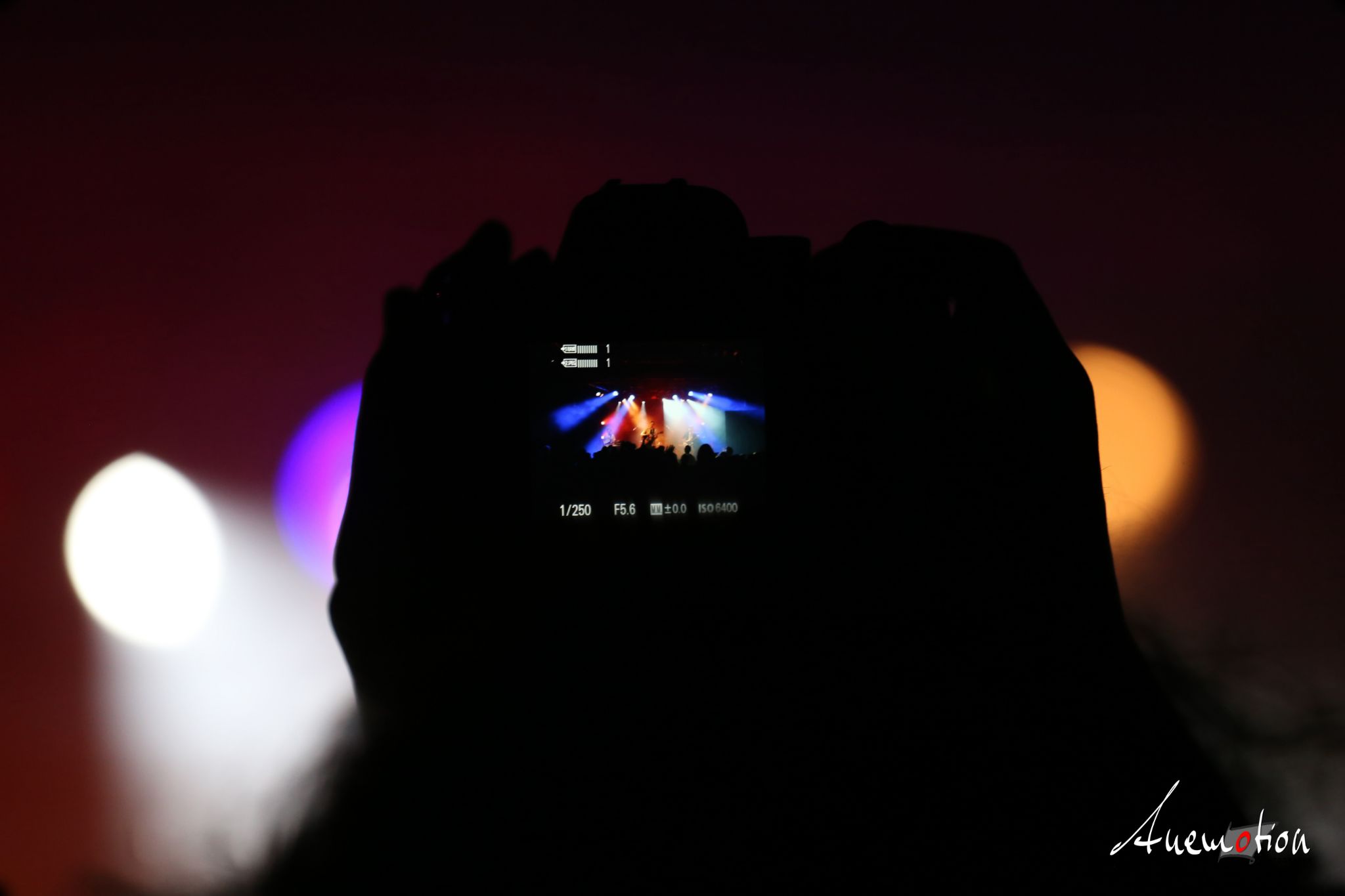 ElephantsFalling (38)